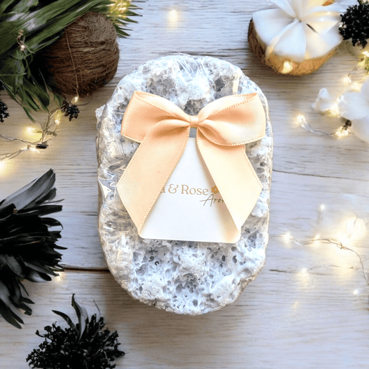 Black Coconut - Exfoliating Soap Sponge - avarosearomas