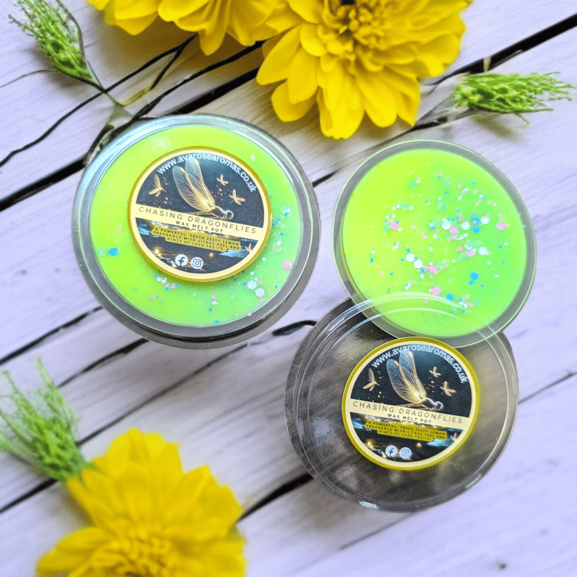 Chasing Dragonflies - Wax Melt Segment Pot - avarosearomas