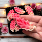 Pretty Perfect - Leaves Wax Melt - avarosearomas