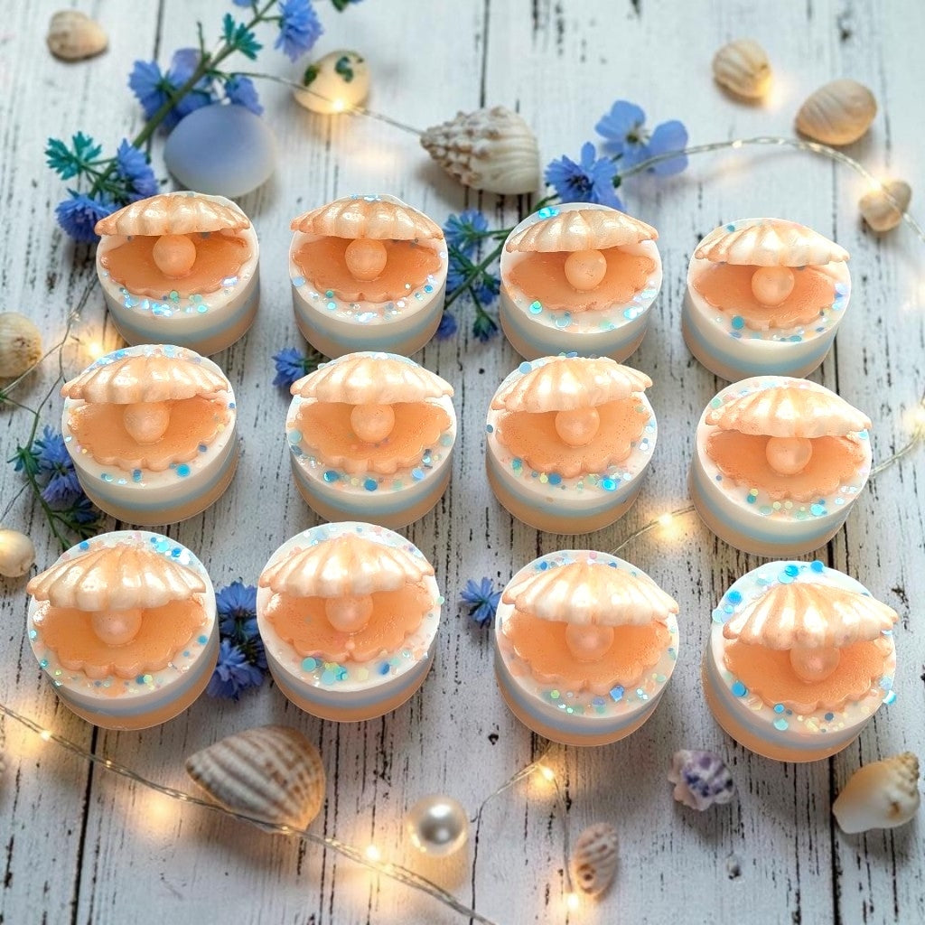 Florida Sun – Seashell Mini Wax Slab