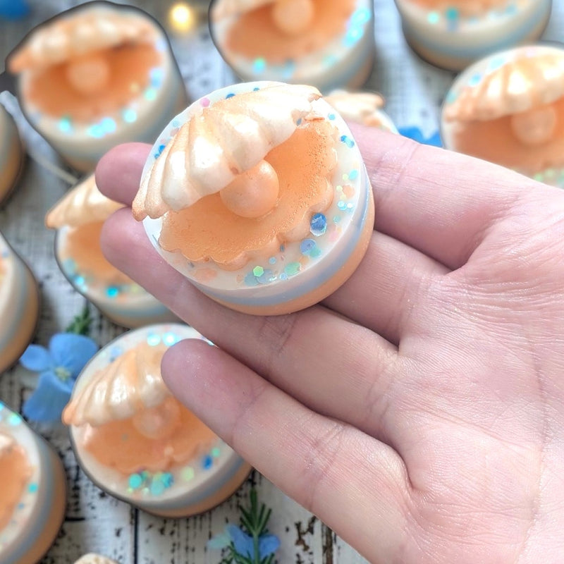 Florida Sun – Seashell Mini Wax Slab
