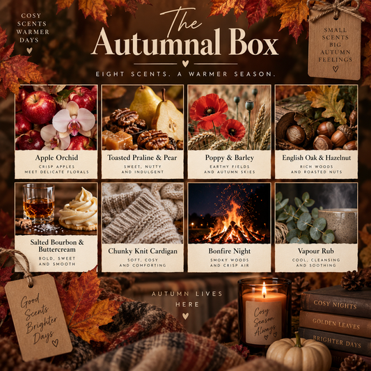October's Monthly Wax Melt Box