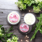 The Clean Queen - Wax Melt Segment Pot - avarosearomas